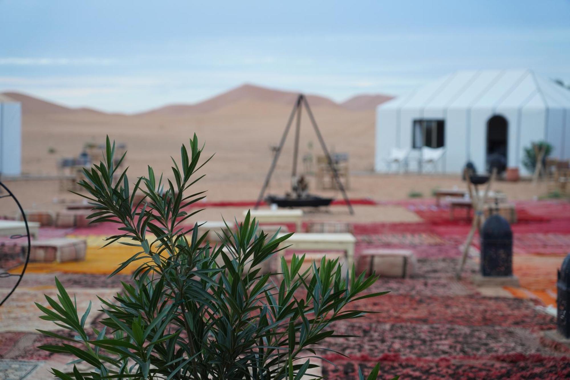 Отель Luxury Berber Style Мерзуга Экстерьер фото